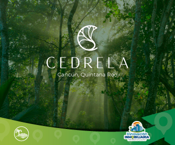 Cedrela